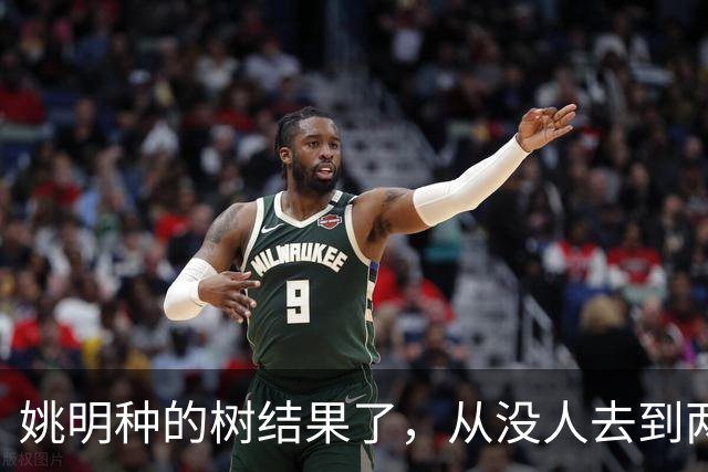 姚明种的树结果了，从没人去到两位数留洋，年轻人治好男篮老毛病